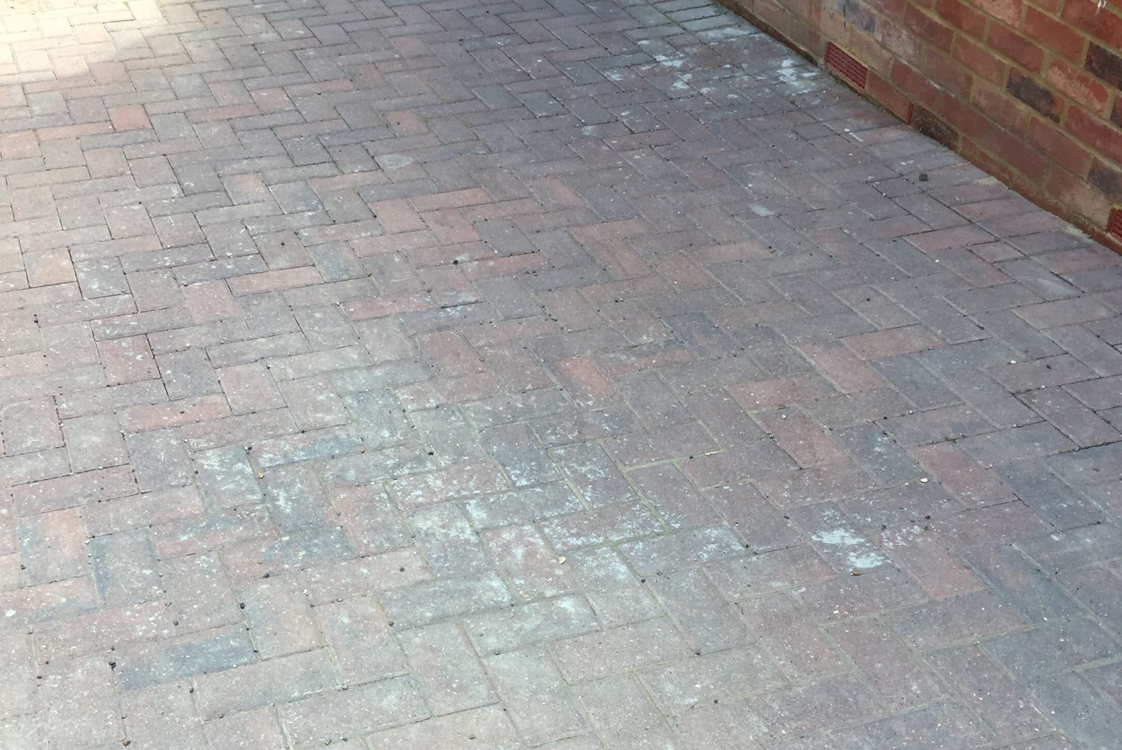 cement on a new drive